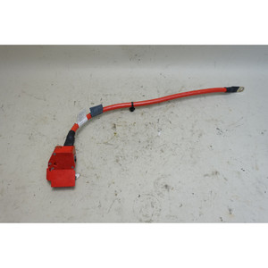 2014-2019 BMW F15 X5 F16 X6 Factory Positive Battery Cable w Fuse OEM