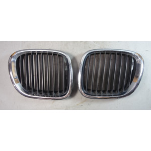 1996-2002 BMW Z3 Roadster Coupe Factory Front Kidney Grille Pair OEM NLA