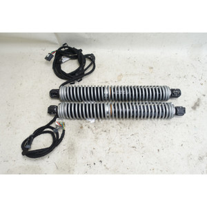 BMW F10 5-Series Early Trunk Lid Lift Spindle Strut Pair 2011-2014 OEM