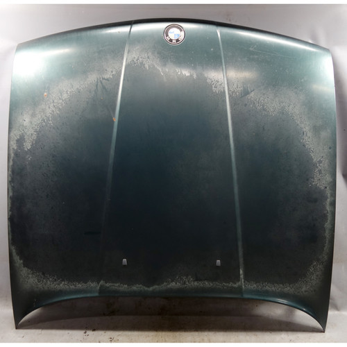 1991-1995 BMW E34 5-Series Narrow Grille Front Hood Bonnet Panel Island Green OE 1991-1995 BMW E34 5-Series Narrow Grille Front Hood Bonnet Panel Island Green OE
