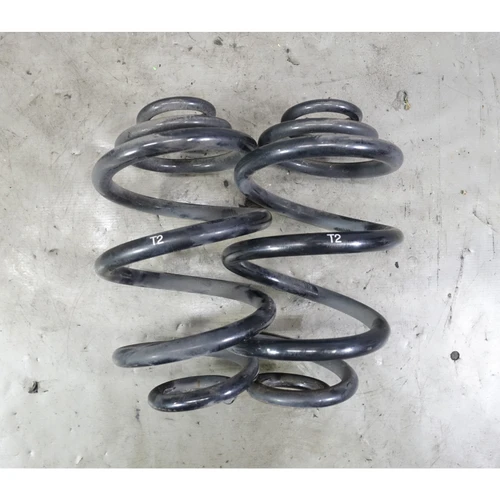 2009-2016 BMW E89 Z4 Roadster Factory Rear Axle Coil Barrel Spring Pair T2 OEM