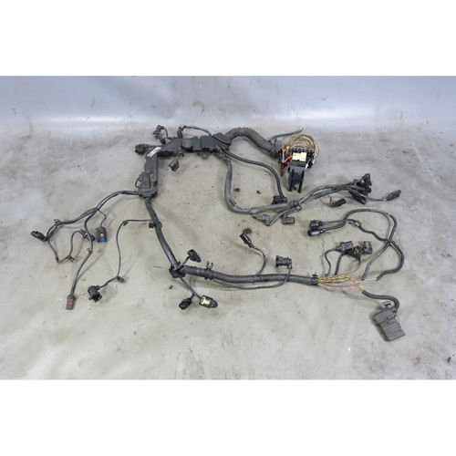 Damaged BMW F10 F02 N57 Diesel Engine Wiring Harness 535dX 740LdX OEM