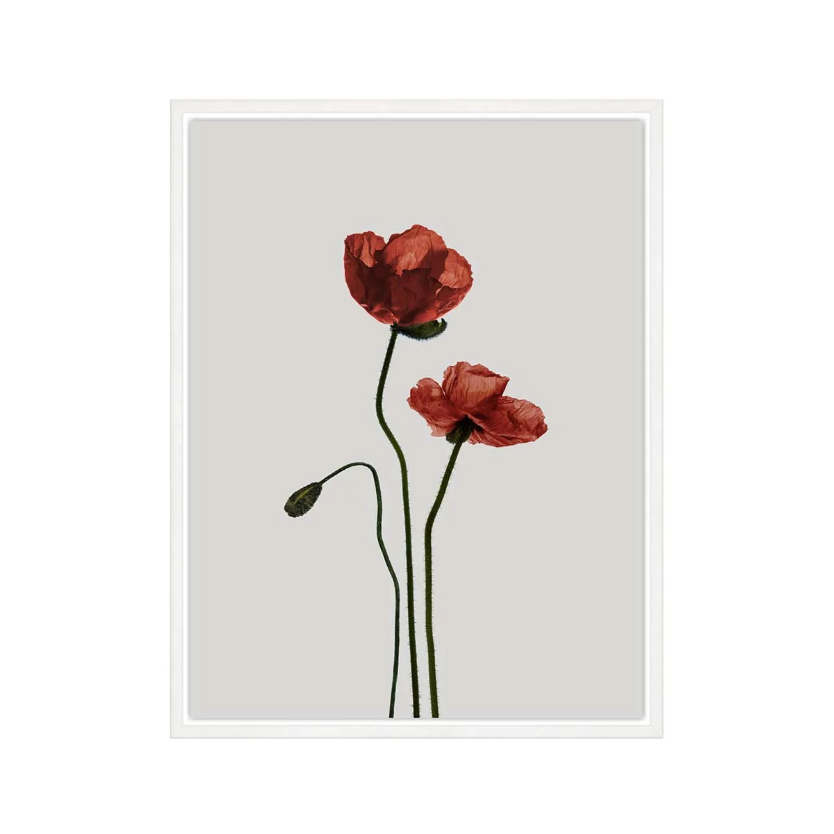 Opium Art
