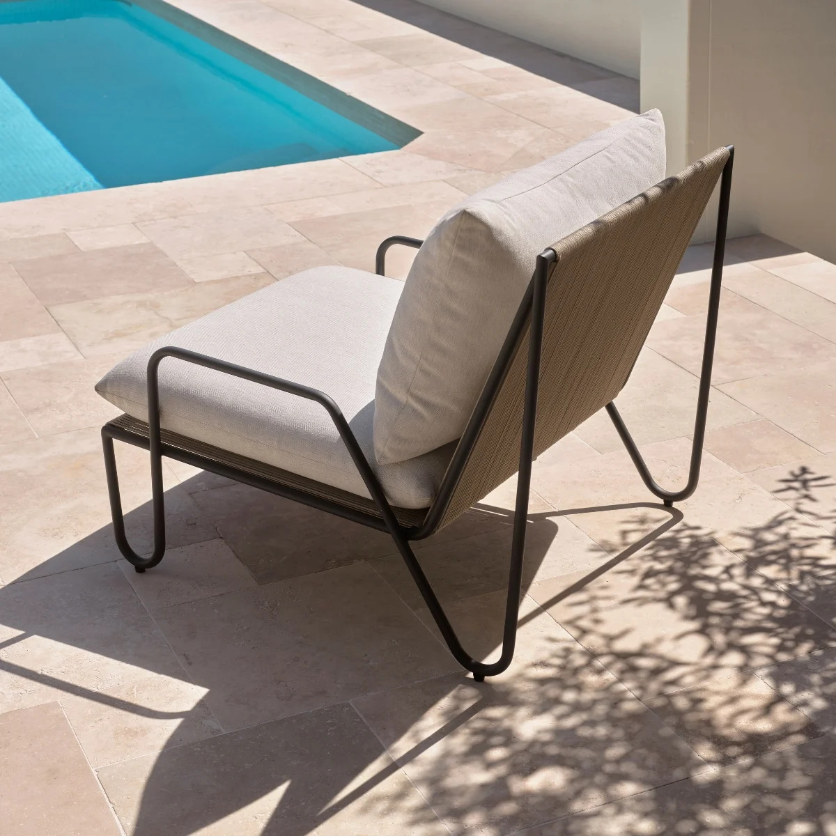 453932|Moreton Shell|CocoHeroImage