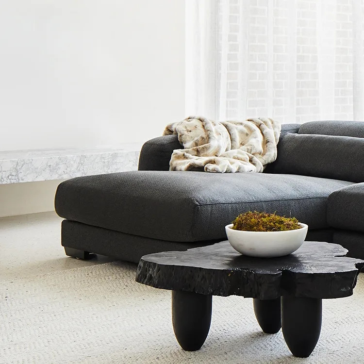 341663||CocoHeroImage