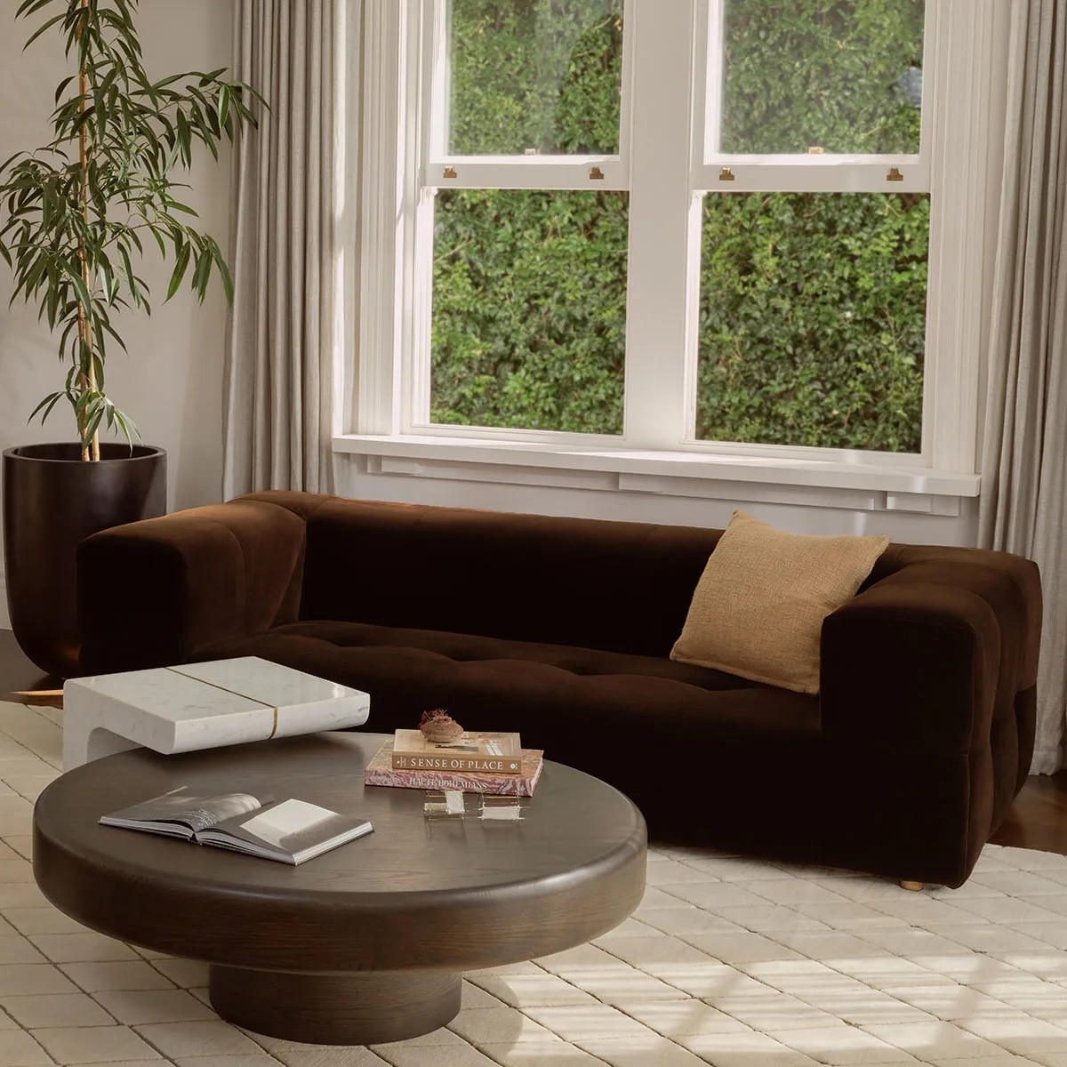 531392||CocoHeroImage