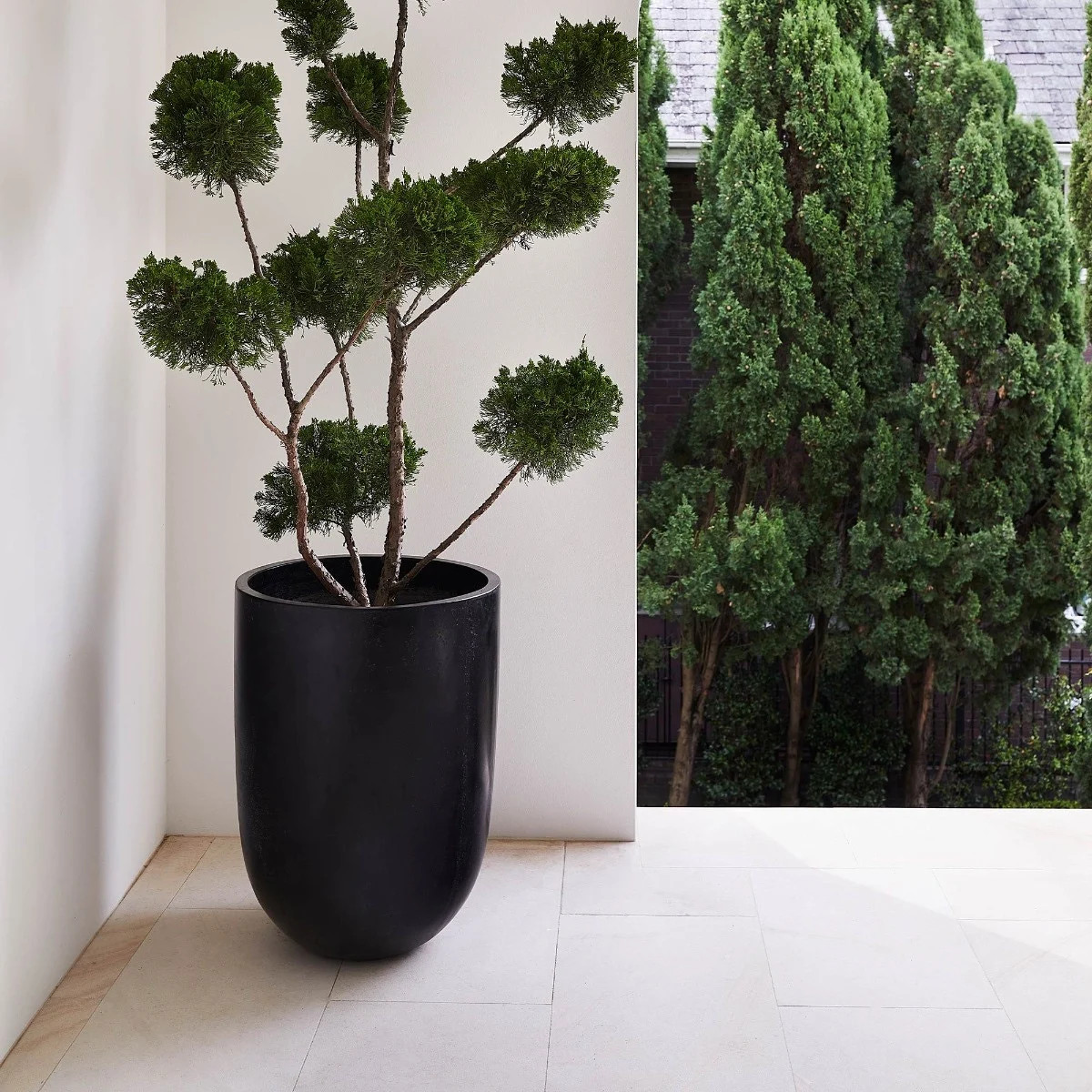 341692||CocoHeroImage