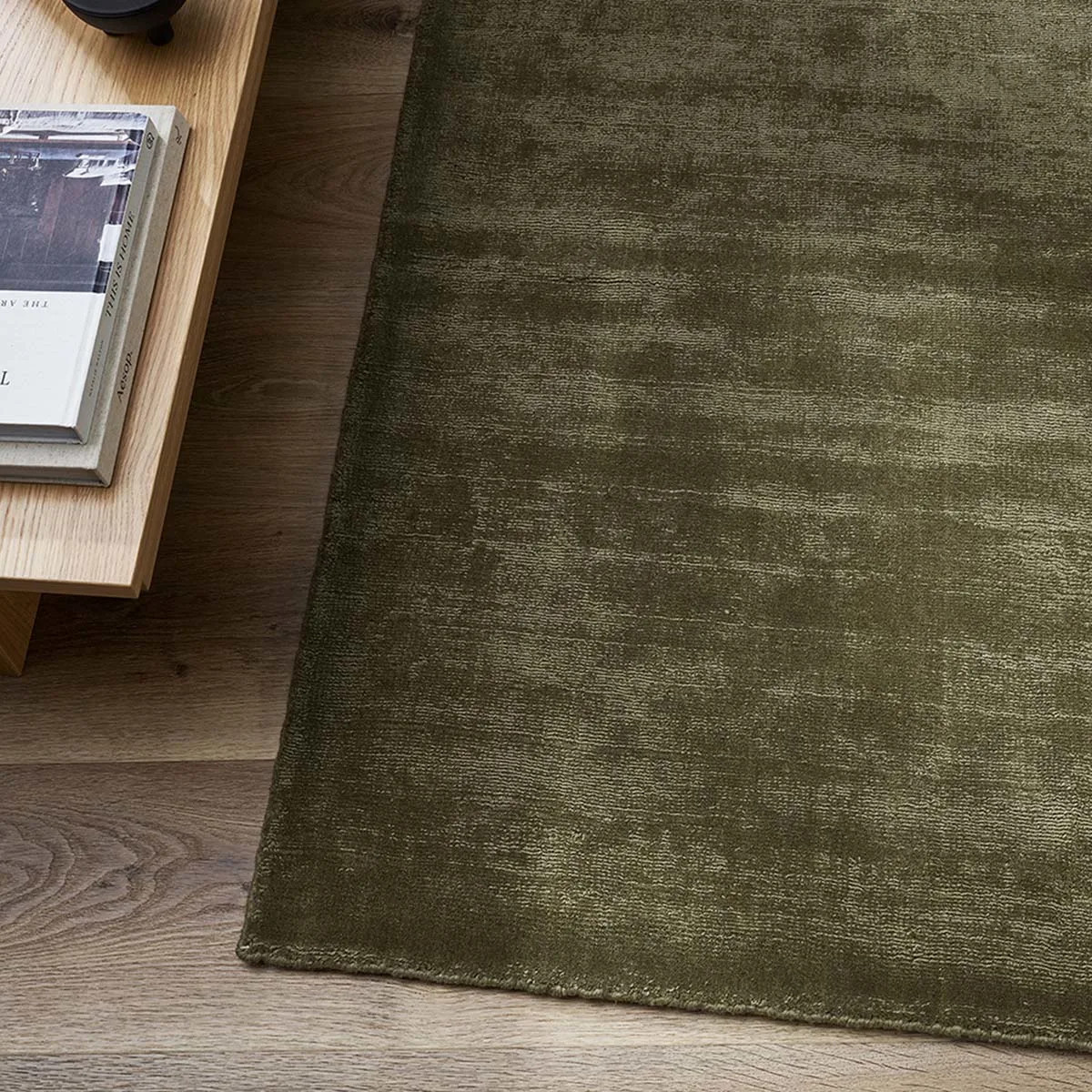 CR11-S2621-0000160||CocoHeroImage