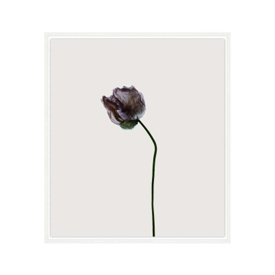 Bleum Art - CR11-H851-0003359||Main Image|1