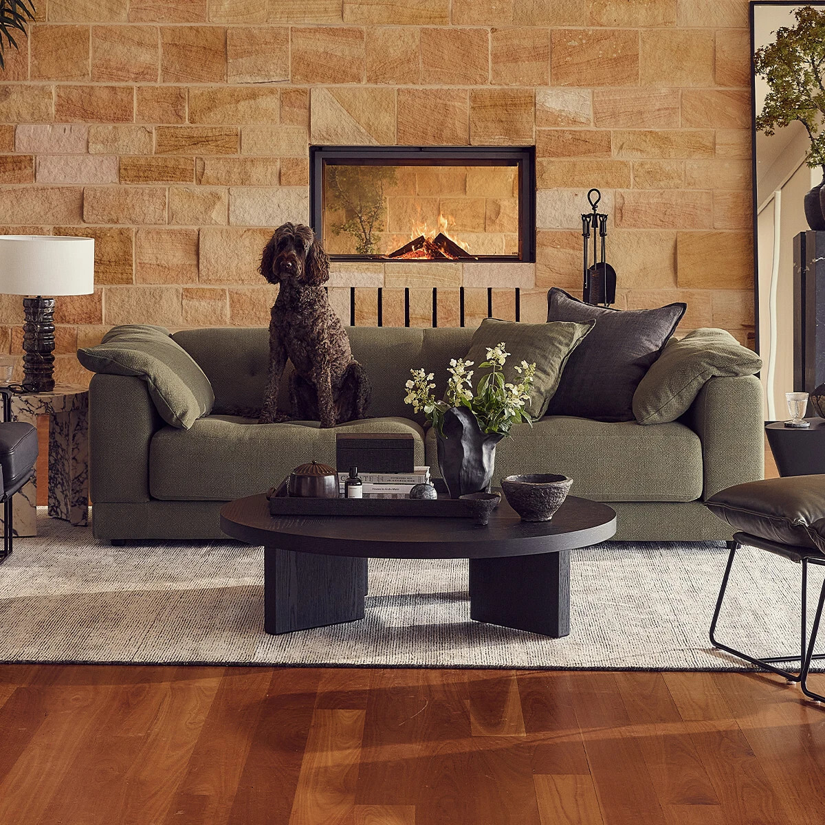 Malone sofa in olive green, styled in a warm timber living room with a dog resting on the cushions.