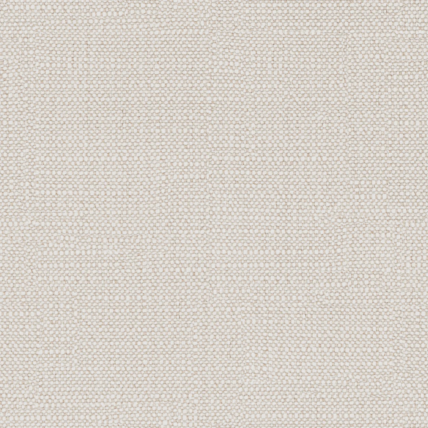 Take Home Swatch - Gent Almond Swatch