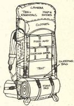 Top 10 Tips for Camping this Summer