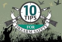 Ten Tips for Firearm Safety in the UK