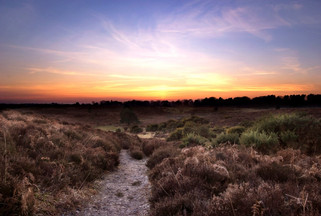 Historical Hunting Grounds