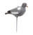 Full Bodied Pigeon Decoy