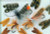 Veniard Natural Feather Caddis Wings Fly Tying Material