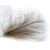  Veniard Cul De Canard super select feathers