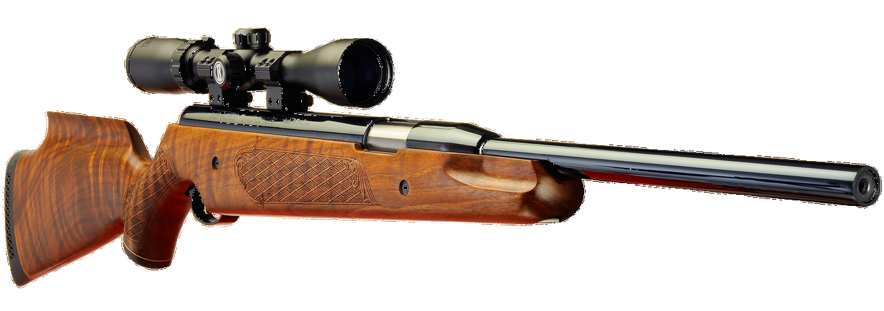Spring and Gas Ram Air Rifles