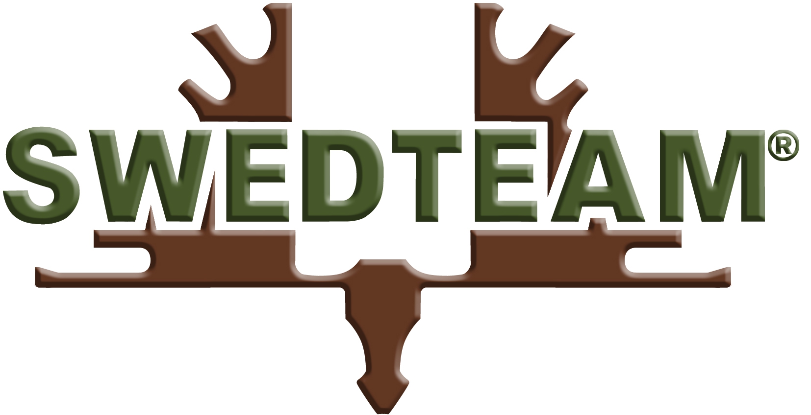 SwedTeam