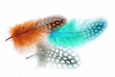 Natural Feathers