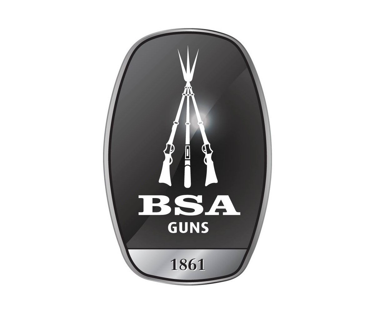 BSA Spring Air Rifles