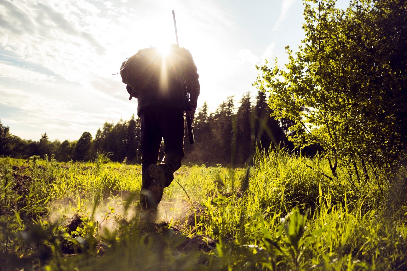 The Best Wildfowl To Hunt This Season Keen s Tackle Guns