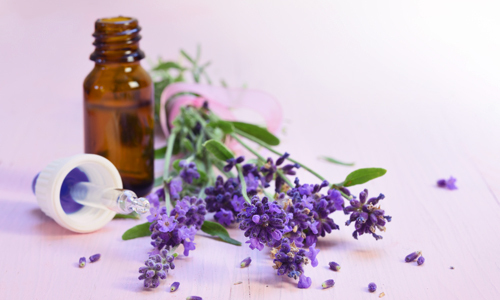 Fitoterapia en Farmacia Alisandra