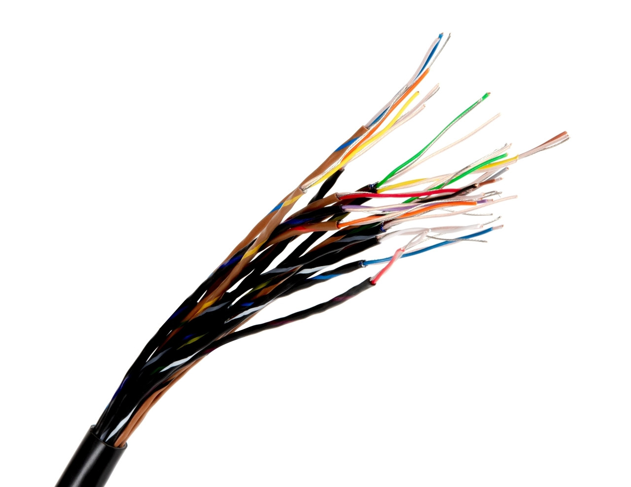 canare-16at-foot_02__99215.