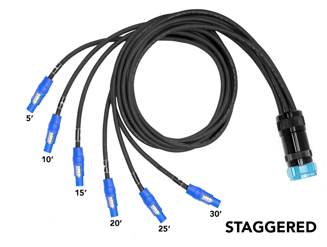 Câble D'alimentation Socapex 19 Broches Vers 6 PowerCon True1 - 6 Pieds