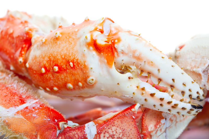 Colossal Red King Crab Claws 8 lbs. - Great Alaska Seafood