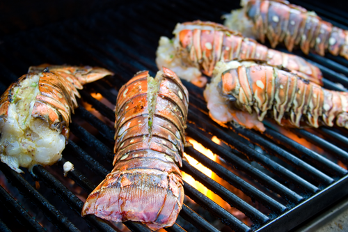 Brazil lobster tails are warm water lobster tails.