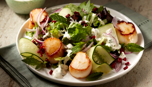 Alaskan Weathervane Scallops are 100% dry and considered to be the finest scallops in the world.