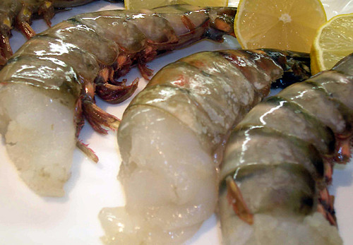 Mega Prawns® | Great Alaska Seafood | World's Largest Prawns | Only 4-6 prawns per pound | Alaskan Seafood | great-alaska-seafood.com