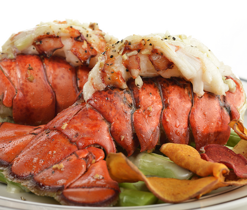 North Atlantic Lobster Tail - 16-20 Ounce Tails