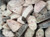 Mini Wild Alaskan Halibut Steaks - 2 to 4 oz each