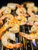 Black Tiger Prawns 8-12ct | 8 lbs.