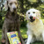 Dog with Alaska Wild Treats single-ingredient wild Alaskan salmon treats