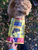 Dog enjoying Alaska Wild Treats single-ingredient salmon dog treats
