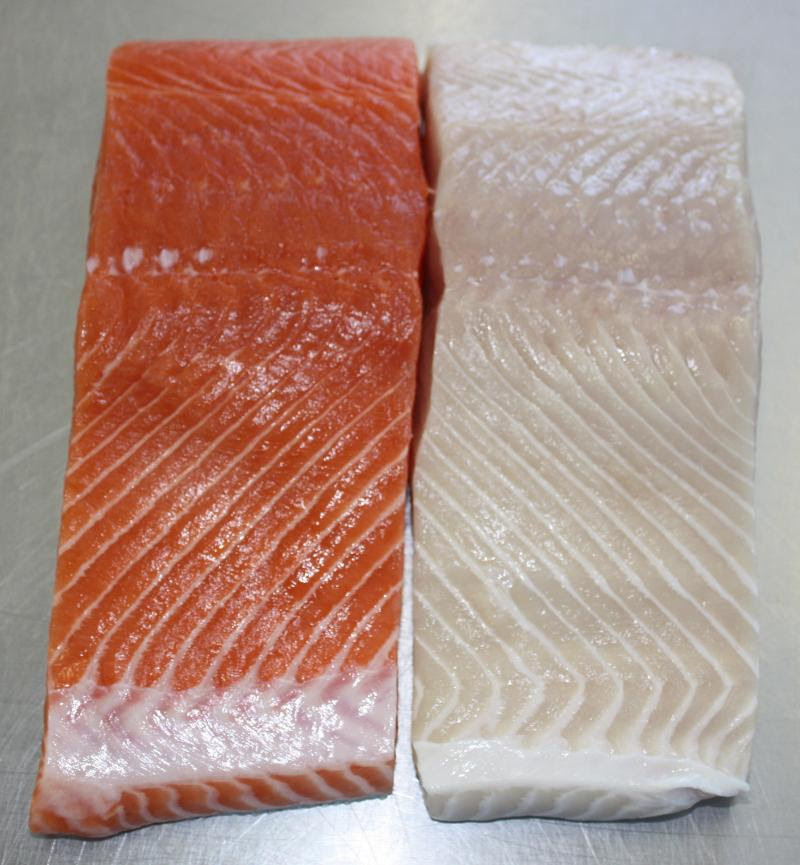 white and red troll caught king salmon are so delicious