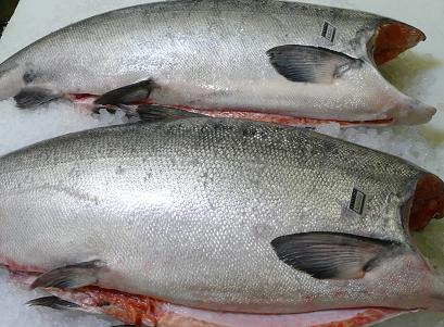 copper river king salmon