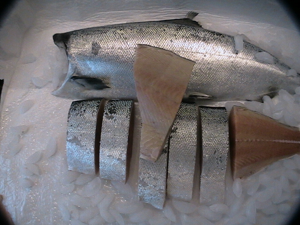 whit king salmon