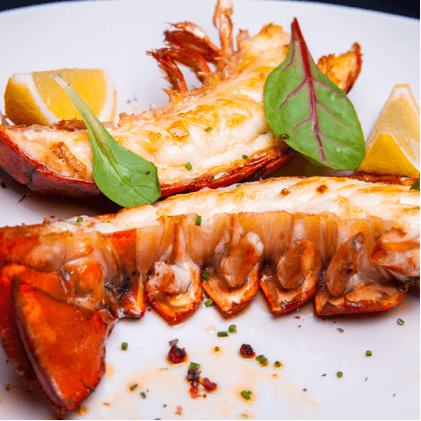 Gourmet Lobster