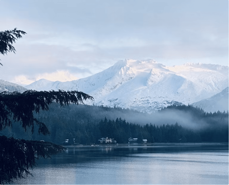 Alaskan wildlife