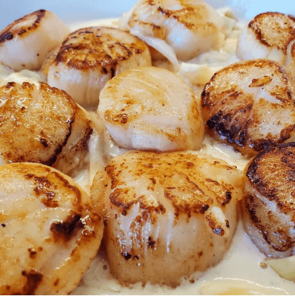 Scallops