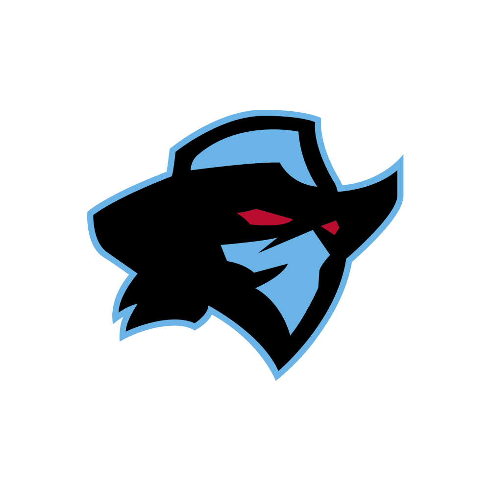 Dallas Renegades