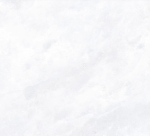 Cerdisa Archisalt Flower of Salt