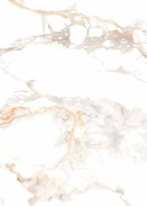 Vitacer V-Lup Luar White