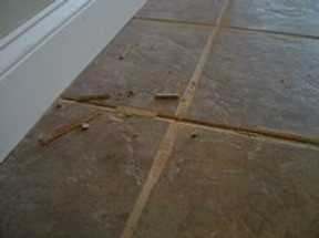 Why My Grout is Coming Up or Cracking