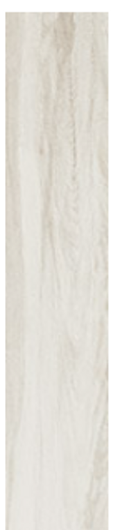 Mariner Axis Birch