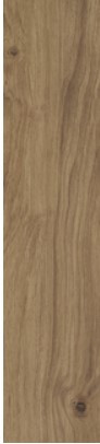 Tile Excursion Plate Florida Tile Excursion Rainier | Milford Tile Supply in Milford, MA